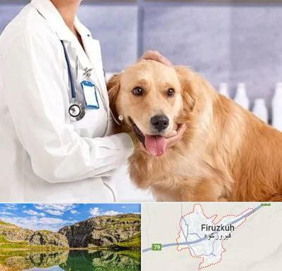 کلینیک دامپزشکی شبانه روزی در فیروزکوه