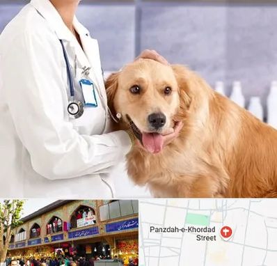 کلینیک دامپزشکی شبانه روزی در 15 خرداد