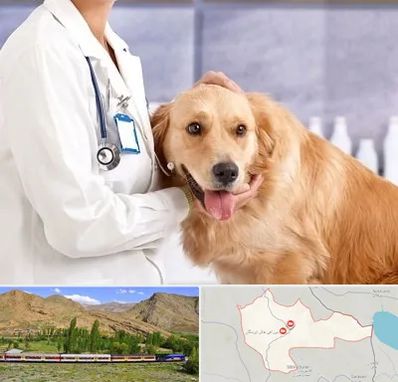 کلینیک دامپزشکی شبانه روزی در خاش