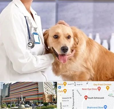 کلینیک دامپزشکی شبانه روزی در سهروردی