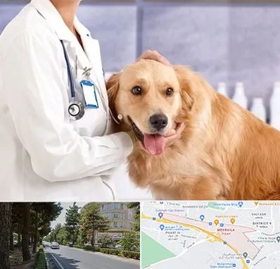 کلینیک دامپزشکی شبانه روزی در مهرویلا کرج
