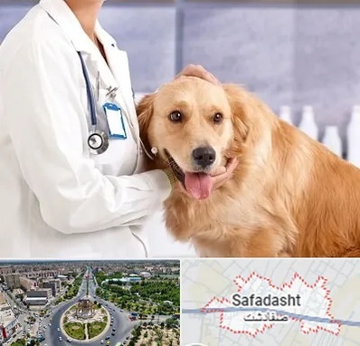 کلینیک دامپزشکی شبانه روزی در صفادشت
