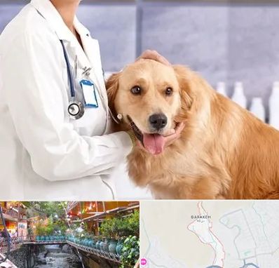 کلینیک دامپزشکی شبانه روزی در درکه