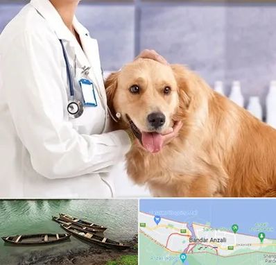 کلینیک دامپزشکی شبانه روزی در بندر انزلی