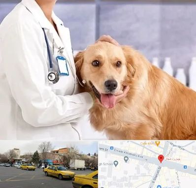 کلینیک دامپزشکی شبانه روزی در شهناز تبریز