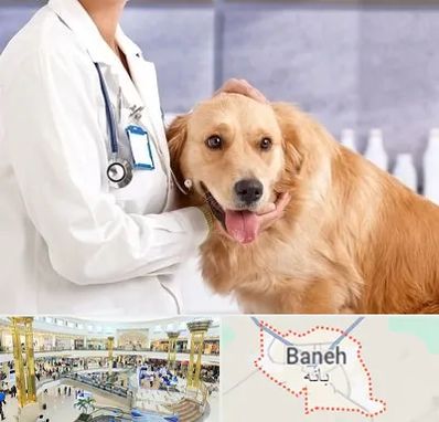 کلینیک دامپزشکی شبانه روزی در بانه