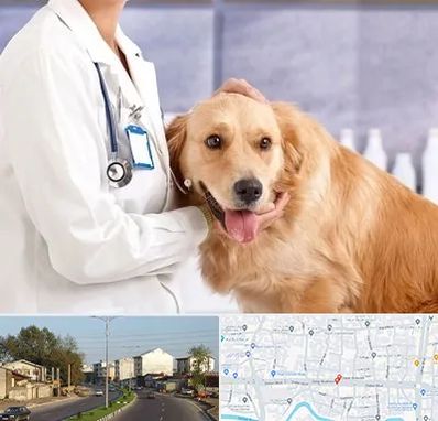 کلینیک دامپزشکی شبانه روزی در ضیابری رشت