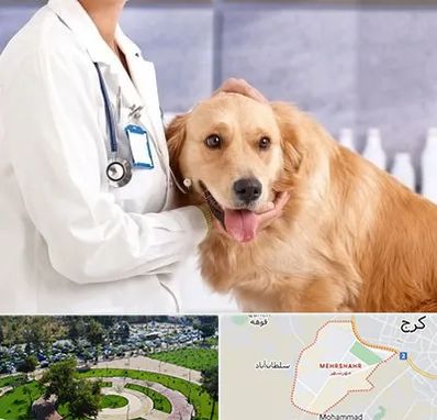 کلینیک دامپزشکی شبانه روزی در مهرشهر کرج