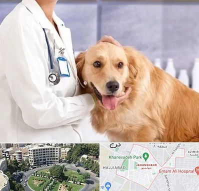 کلینیک دامپزشکی شبانه روزی در جهانشهر کرج