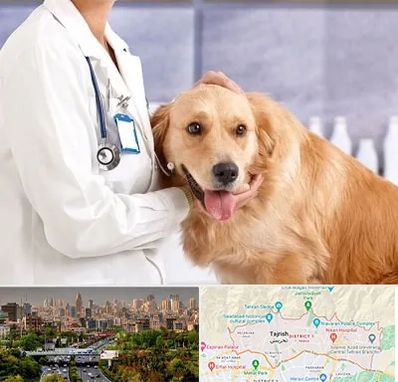 کلینیک دامپزشکی شبانه روزی در منطقه 1 تهران