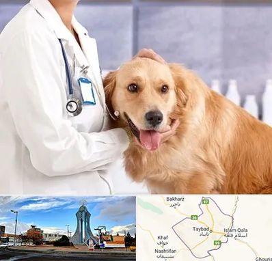 کلینیک دامپزشکی شبانه روزی در تایباد