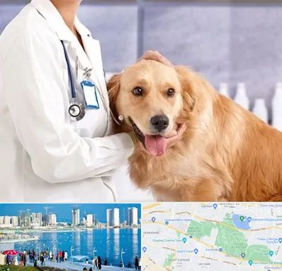 کلینیک دامپزشکی شبانه روزی در چیتگر