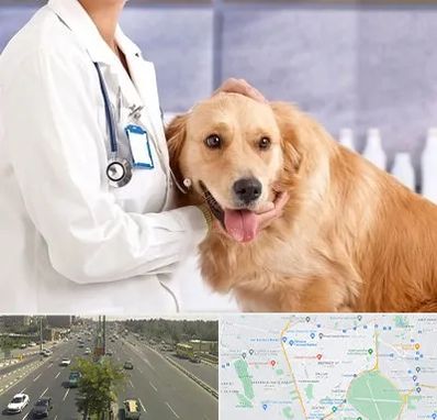 کلینیک دامپزشکی شبانه روزی در منطقه 17 تهران