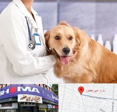 کلینیک دامپزشکی شبانه روزی در امین حضور