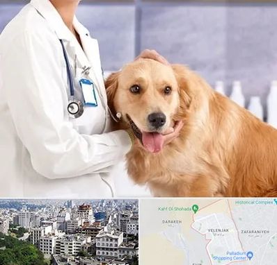 کلینیک دامپزشکی شبانه روزی در ولنجک
