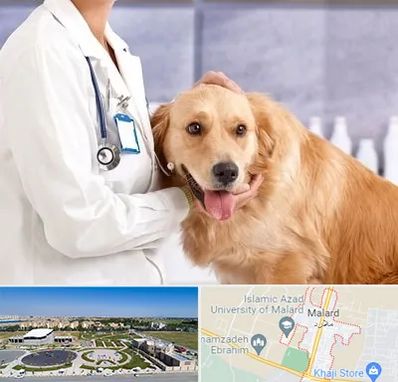 کلینیک دامپزشکی شبانه روزی در ملارد