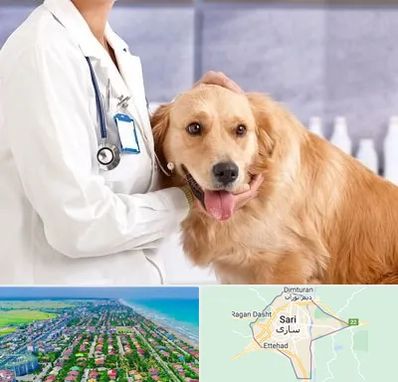 کلینیک دامپزشکی شبانه روزی در ساری