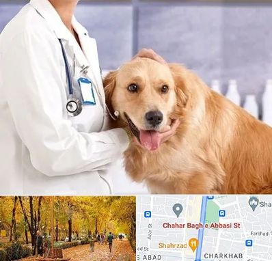 کلینیک دامپزشکی شبانه روزی در چهارباغ اصفهان