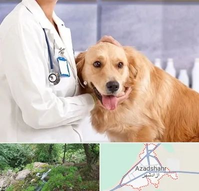 کلینیک دامپزشکی شبانه روزی در آزادشهر