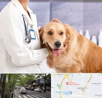 کلینیک دامپزشکی شبانه روزی در ظفر