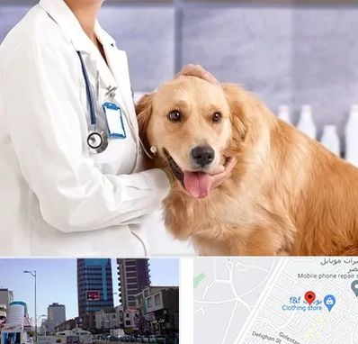 کلینیک دامپزشکی شبانه روزی در چهارراه طالقانی کرج