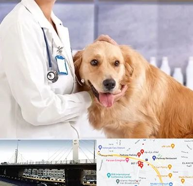 کلینیک دامپزشکی شبانه روزی در پارک وی
