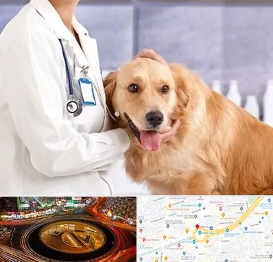 کلینیک دامپزشکی شبانه روزی در میدان ولیعصر