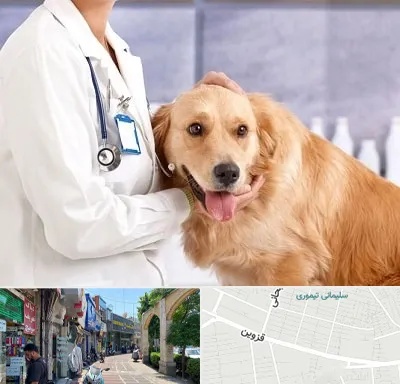 کلینیک دامپزشکی شبانه روزی در خیابان قزوین