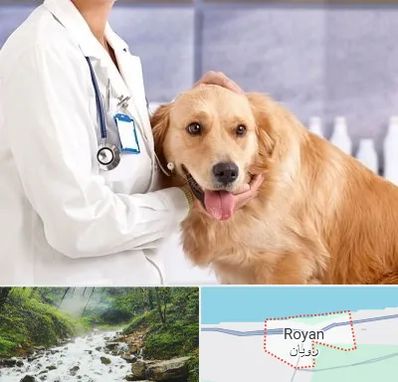 کلینیک دامپزشکی شبانه روزی در رویان