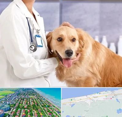 کلینیک دامپزشکی شبانه روزی در فریدونکنار