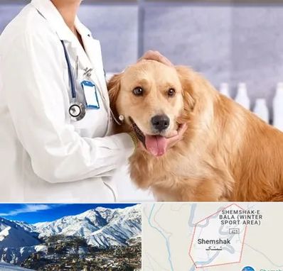 کلینیک دامپزشکی شبانه روزی در شمشک