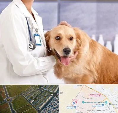 کلینیک دامپزشکی شبانه روزی در الهیه مشهد