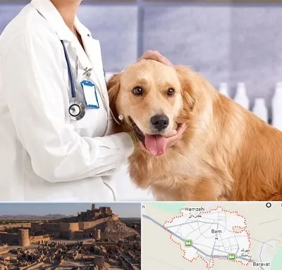 کلینیک دامپزشکی شبانه روزی در بم