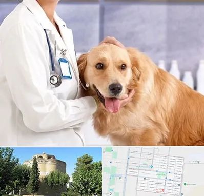 کلینیک دامپزشکی شبانه روزی در مرداویج اصفهان