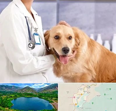 کلینیک دامپزشکی شبانه روزی در رودبار