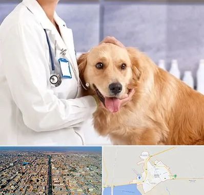 کلینیک دامپزشکی شبانه روزی در بندر ماهشهر