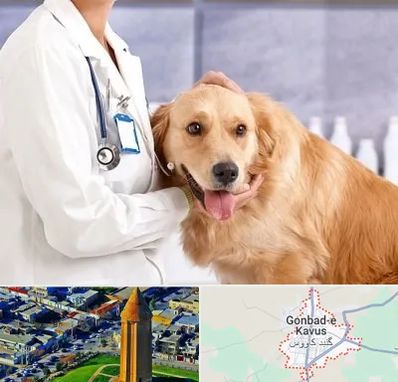 کلینیک دامپزشکی شبانه روزی در گنبد کاووس