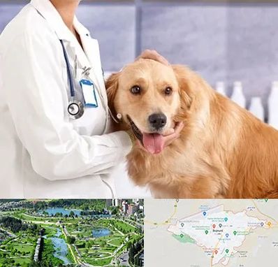 کلینیک دامپزشکی شبانه روزی در بجنورد