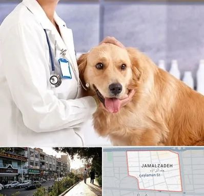 کلینیک دامپزشکی شبانه روزی در خیابان جمالزاده
