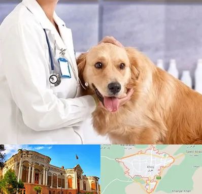 کلینیک دامپزشکی شبانه روزی در خوی