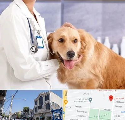 کلینیک دامپزشکی شبانه روزی در افسریه