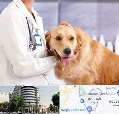 کلینیک دامپزشکی شبانه روزی در قلهک