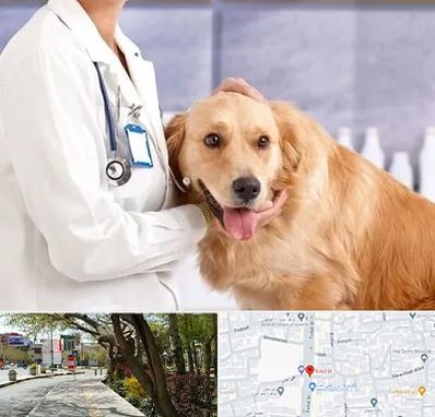 کلینیک دامپزشکی شبانه روزی در خیابان توحید اصفهان