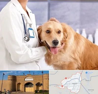 کلینیک دامپزشکی شبانه روزی در ایرانشهر