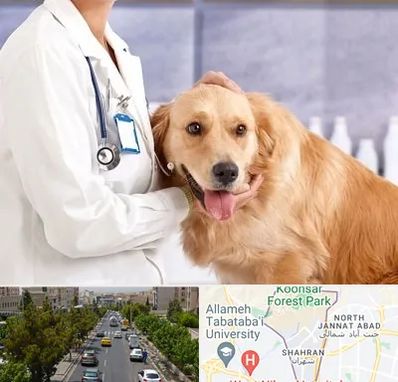 کلینیک دامپزشکی شبانه روزی در شهران