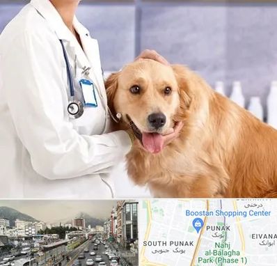 کلینیک دامپزشکی شبانه روزی در پونک