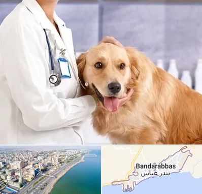 کلینیک دامپزشکی شبانه روزی در بندرعباس