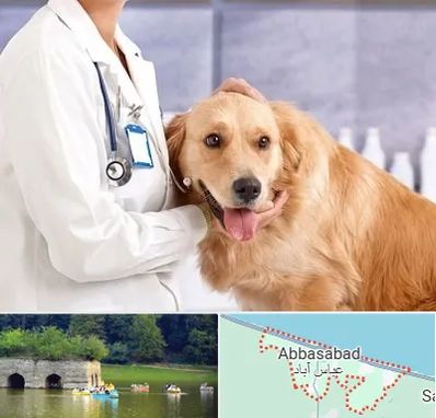 کلینیک دامپزشکی شبانه روزی در عباس آباد