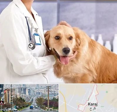 کلینیک دامپزشکی شبانه روزی در گوهردشت