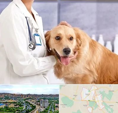 کلینیک دامپزشکی شبانه روزی در شهریار